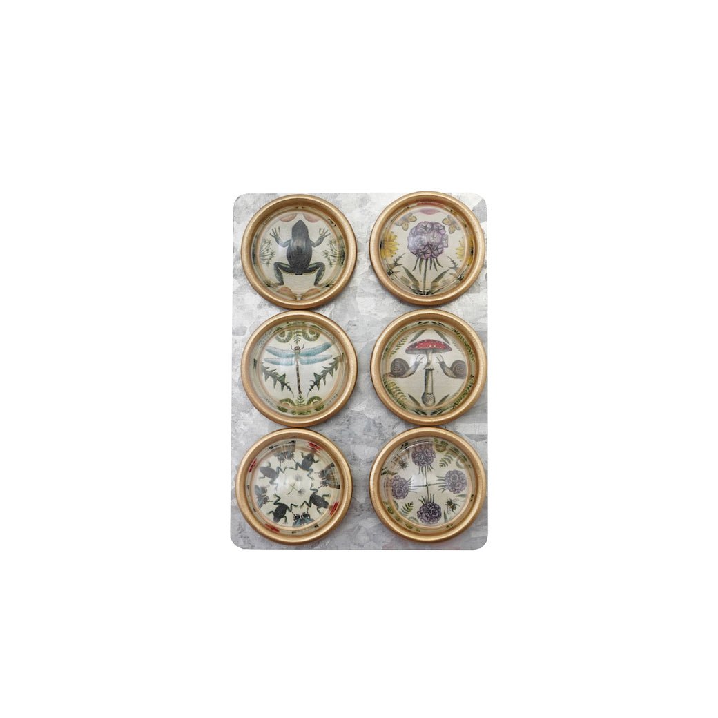 Set of Six Convex Magnets w Flora &amp; Fauna&nbsp; - Marmalade Mercantile