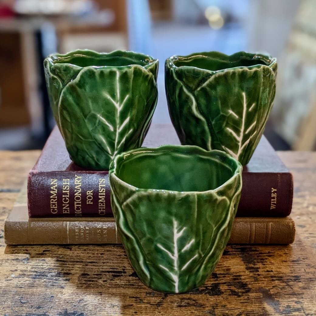 Set of Three Small Cabbage Leaf Cups or Planters - Marmalade Mercantile