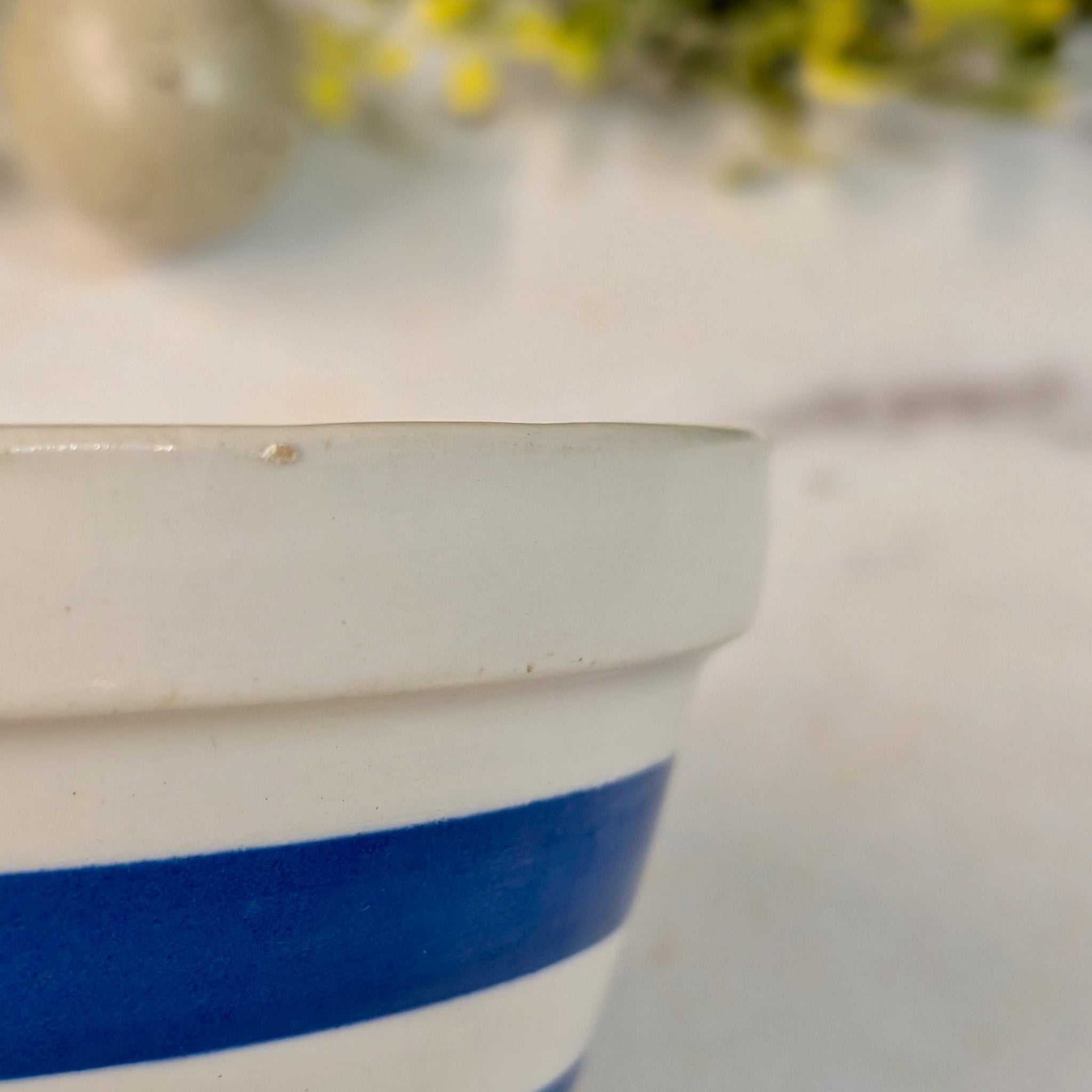Set of Two English Cornishware Pudding Basins - Marmalade Mercantile
