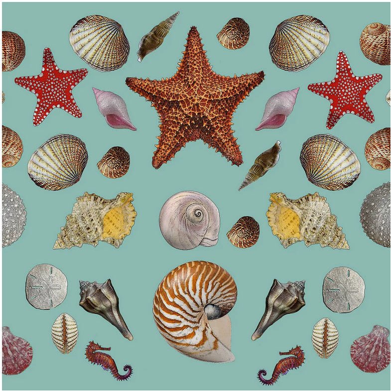 Set of Two Under the Sea Vinyl Placemats - Marmalade Mercantile