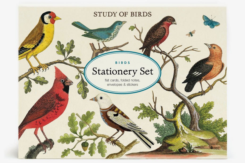 Study of Birds Stationery Set - Marmalade Mercantile