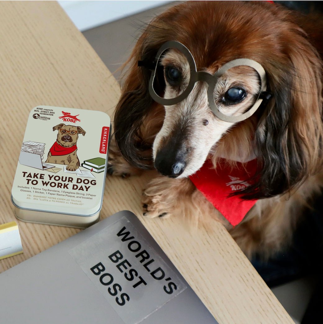 Take Your Dog to Work Day Dress Up Kit - Marmalade Mercantile