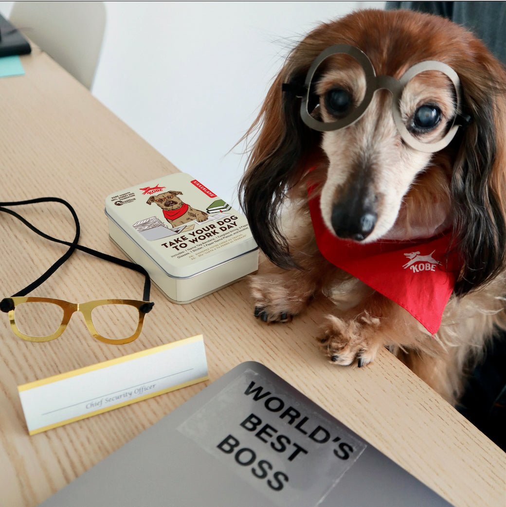 Take Your Dog to Work Day Dress Up Kit - Marmalade Mercantile