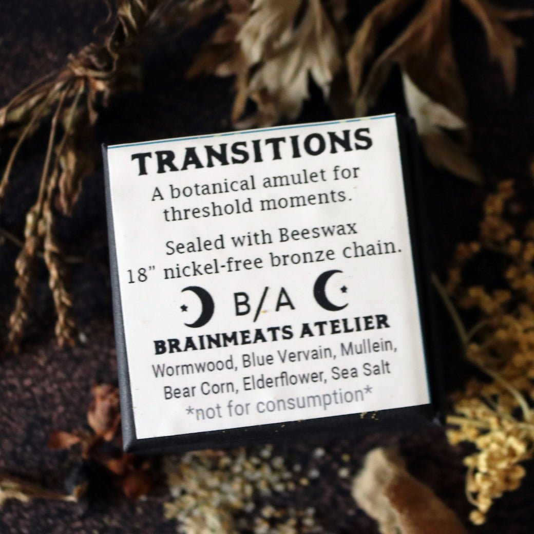 Transitions Amulet - Change & Renewal Talisman Necklace w Luna Moth - Marmalade Mercantile