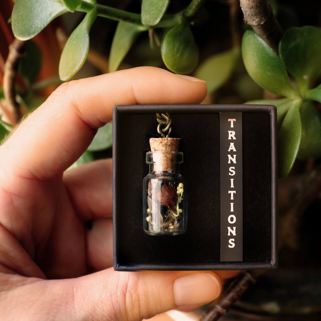 Transitions Amulet - Change & Renewal Talisman Necklace w Luna Moth - Marmalade Mercantile