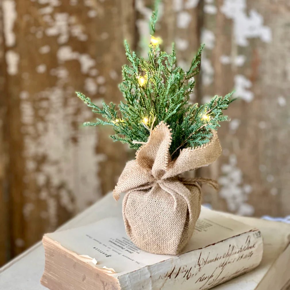 USB Powered 12" Starlit Cedar Tree - Marmalade Mercantile