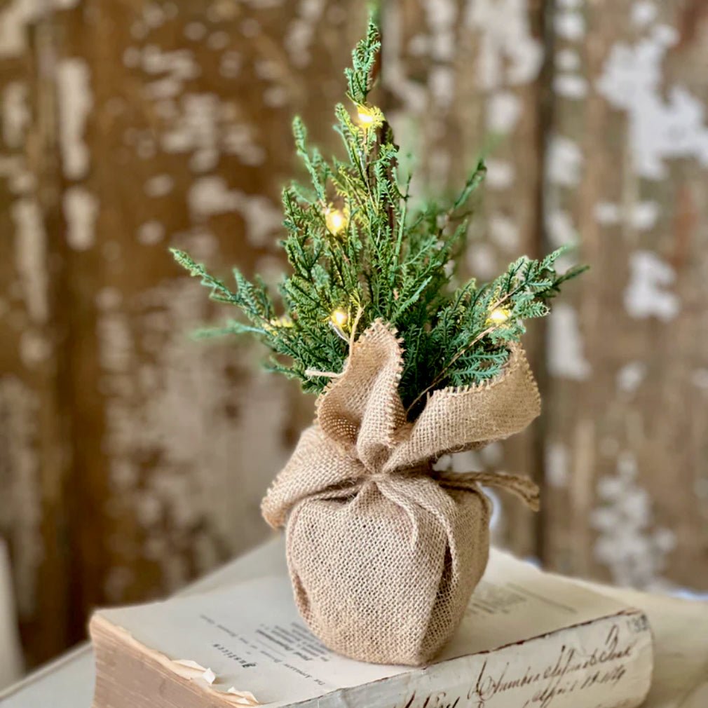 USB Powered 12" Starlit Cedar Tree - Marmalade Mercantile