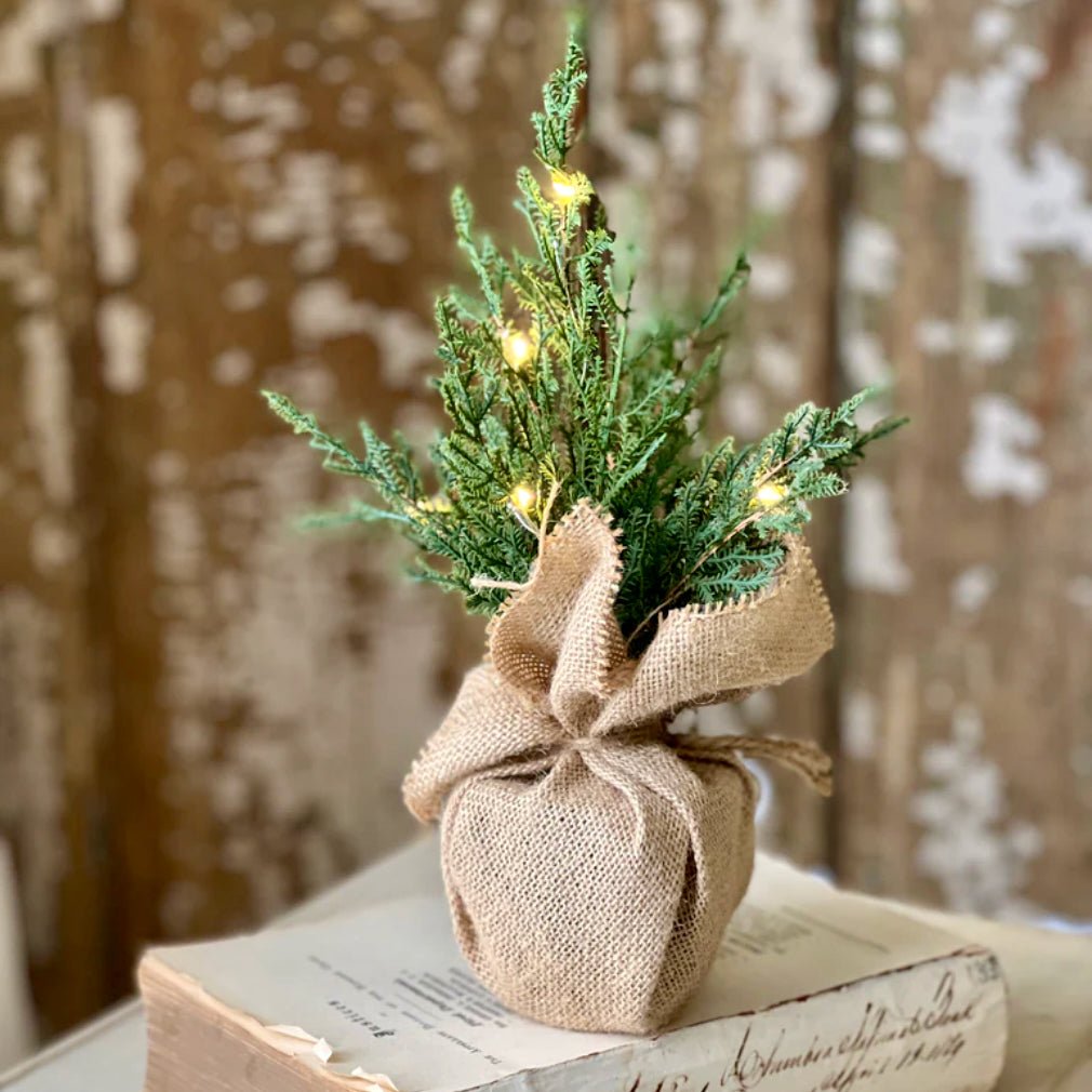 USB Powered 12" Starlit Cedar Tree - Marmalade Mercantile