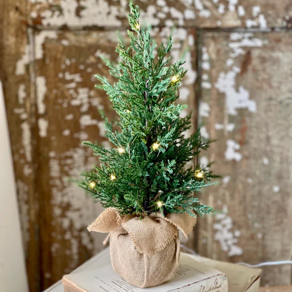 USB Powered 18” Starlit Cedar Tree - Marmalade Mercantile