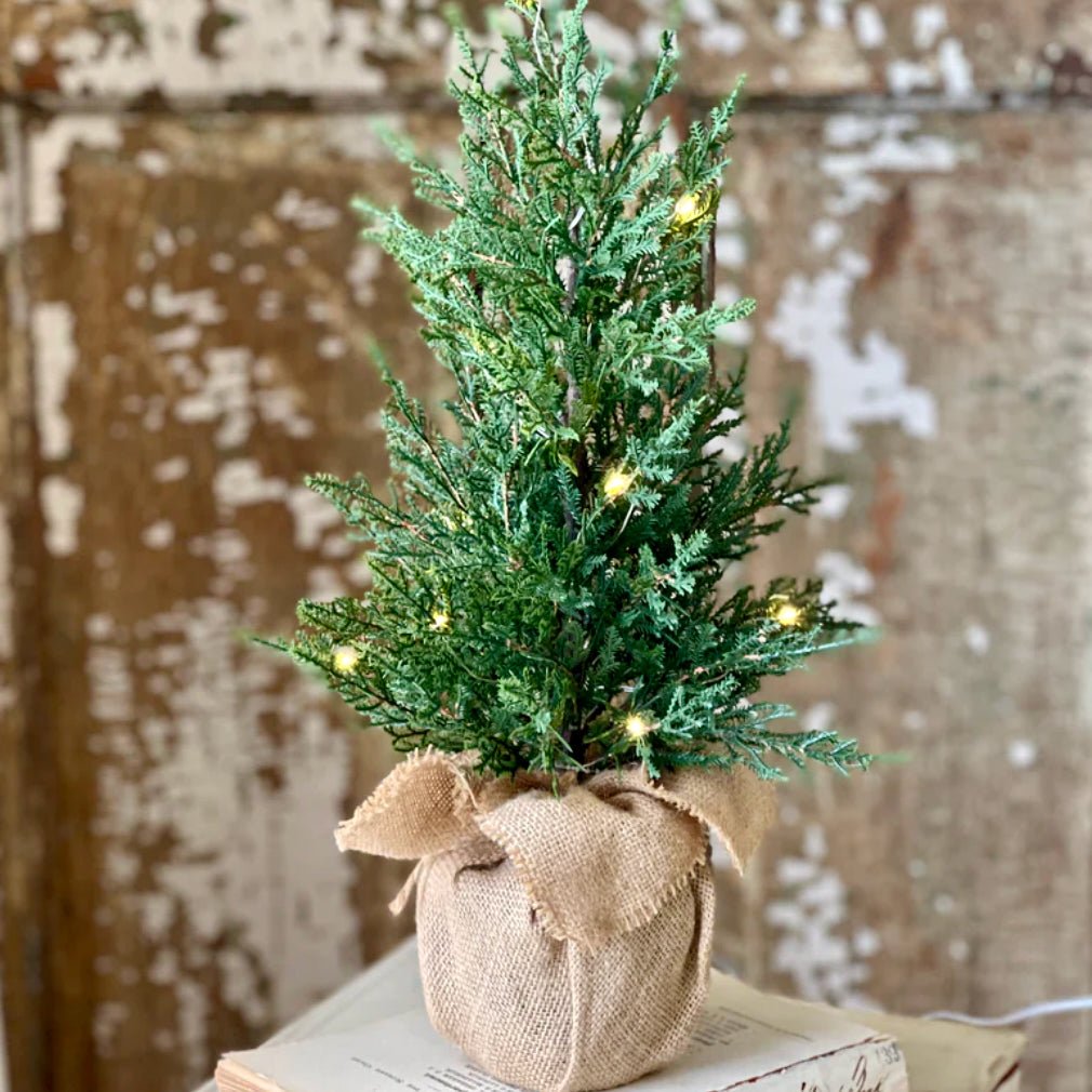 USB Powered 18” Starlit Cedar Tree - Marmalade Mercantile