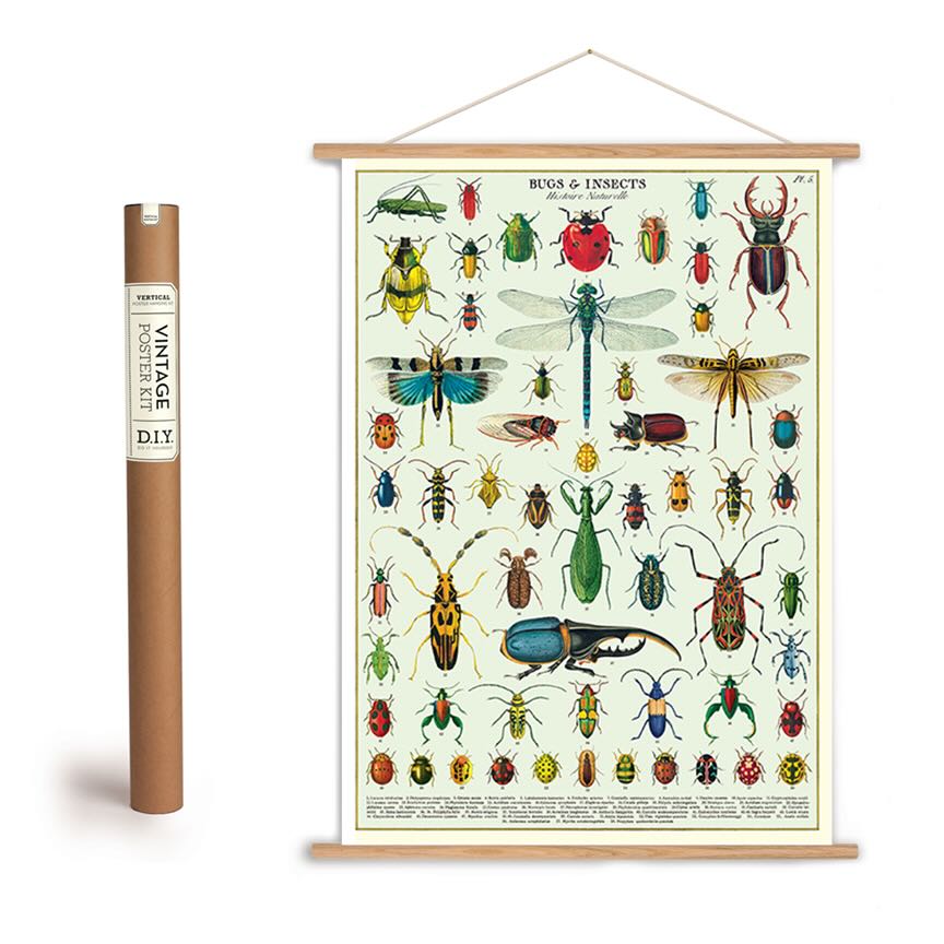 Vintage - Style Bugs & Insects Specimens Art Poster + Hanging Kit - Marmalade Mercantile