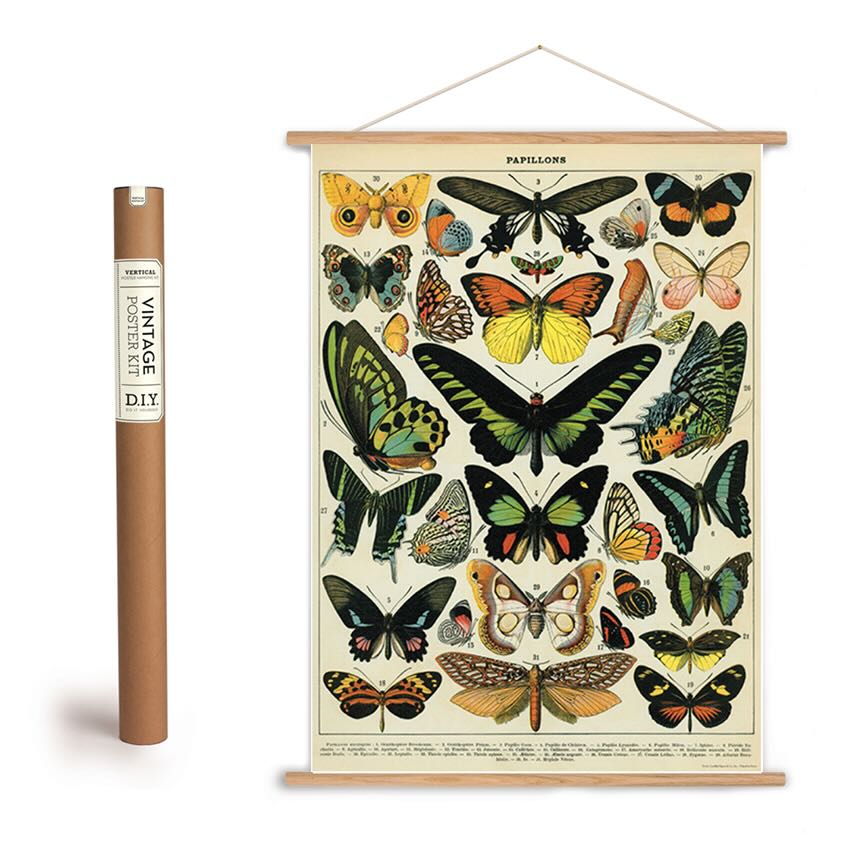 Vintage - Style Butterflies & Moths Art Poster + Hanging Kit - Marmalade Mercantile