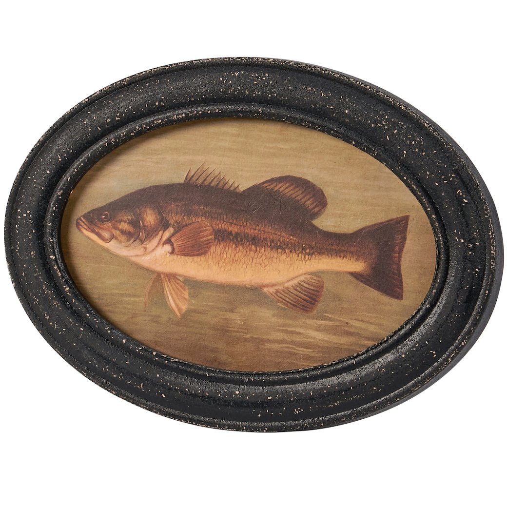 Vintage - Styled Oval Framed Bass Print - Marmalade Mercantile