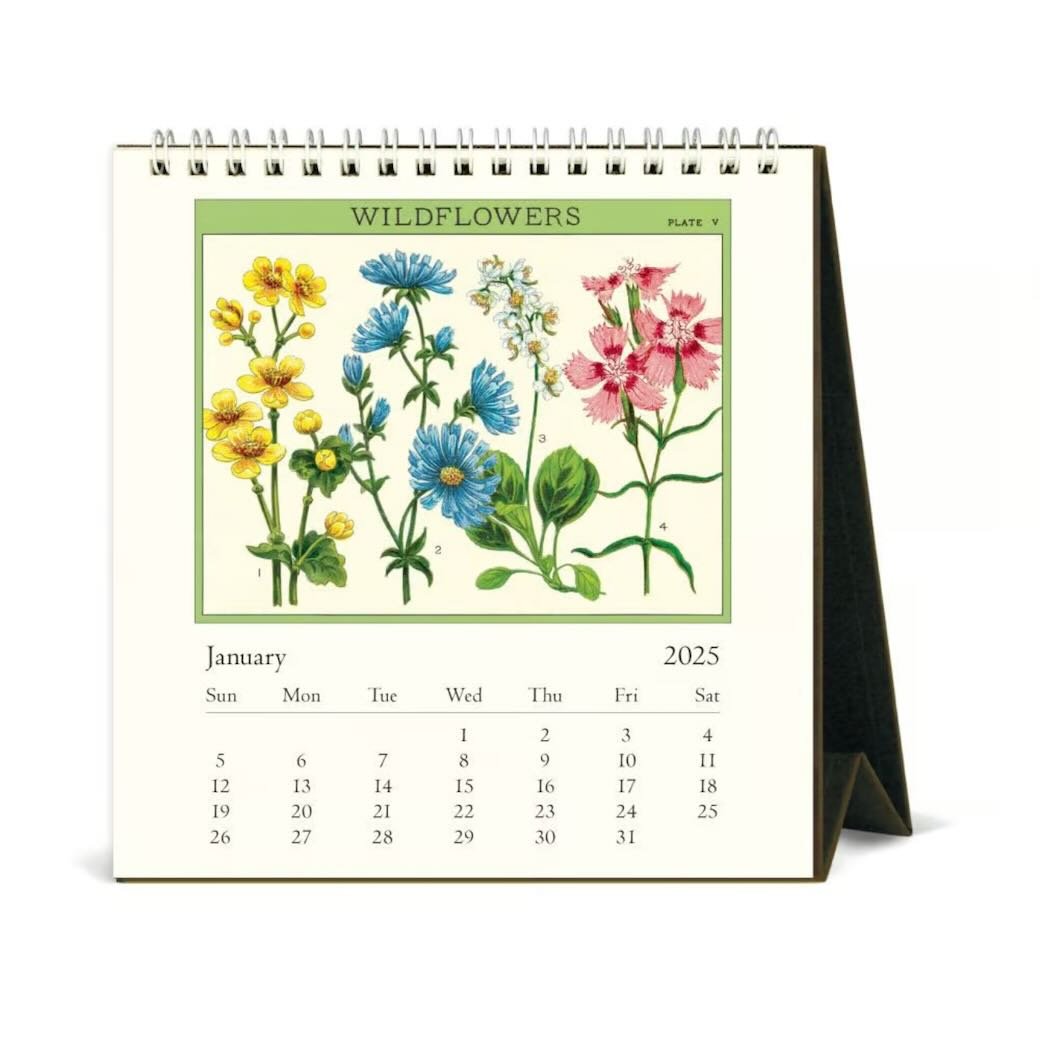 Wildflowers 2025 Desk Calendar - Marmalade Mercantile