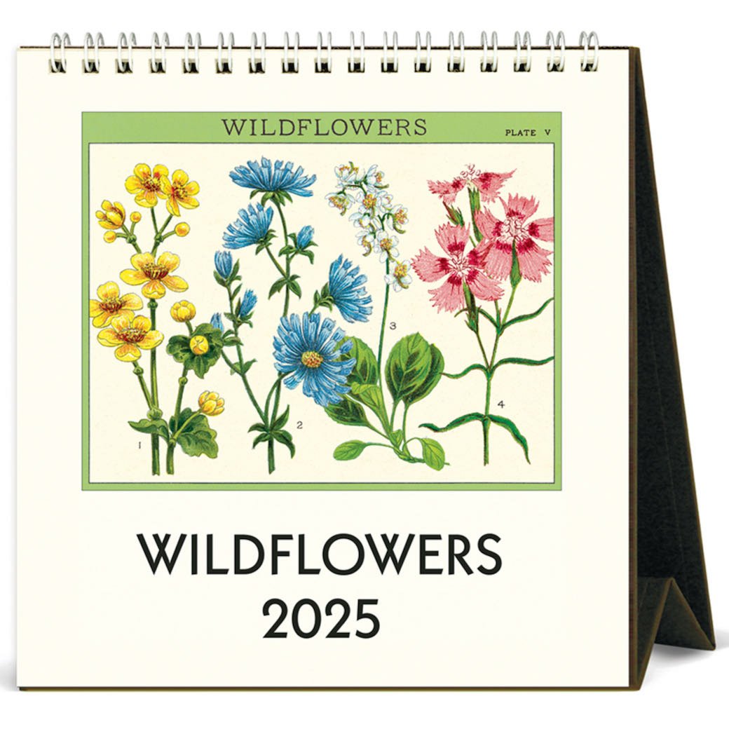 Wildflowers 2025 Desk Calendar Marmalade Mercantile