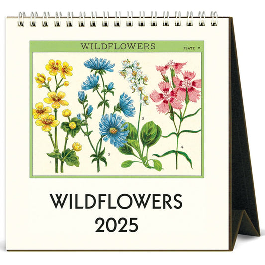 Wildflowers 2025 Desk Calendar - Marmalade Mercantile