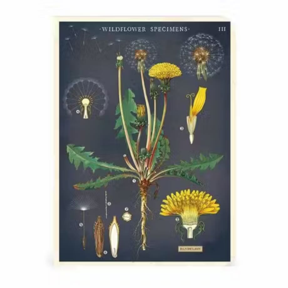 Wildflowers Mini Pocket Notebooks Set of 3 - Marmalade Mercantile