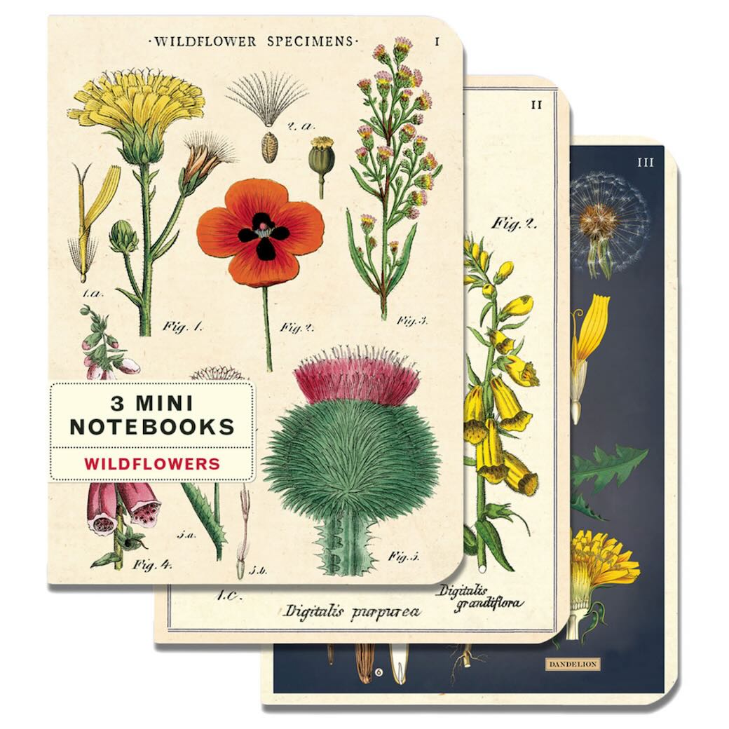 Wildflowers Mini Pocket Notebooks Set of 3 - Marmalade Mercantile