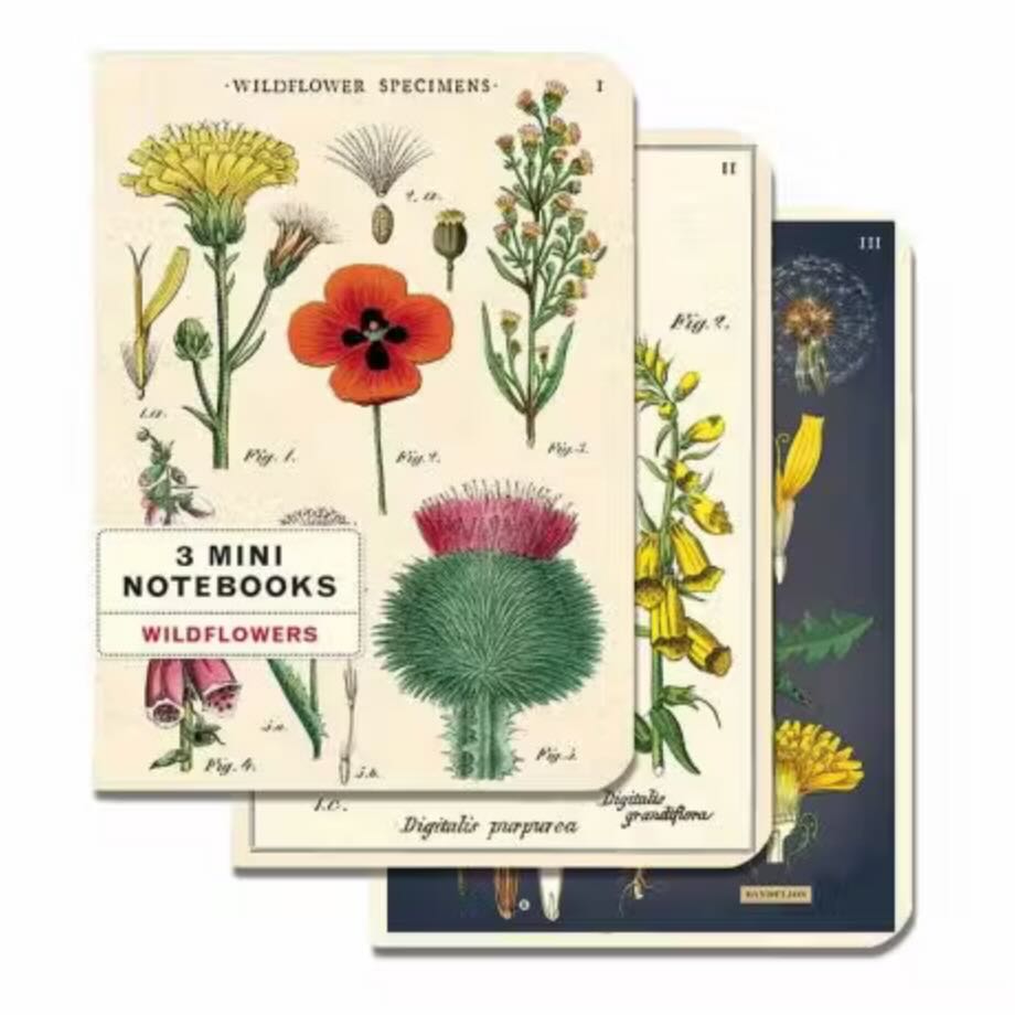 Wildflowers Mini Pocket Notebooks Set of 3 - Marmalade Mercantile