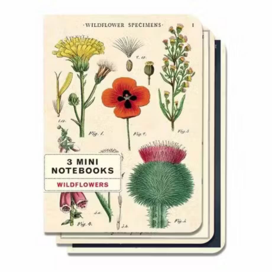 Wildflowers Mini Pocket Notebooks Set of 3 - Marmalade Mercantile