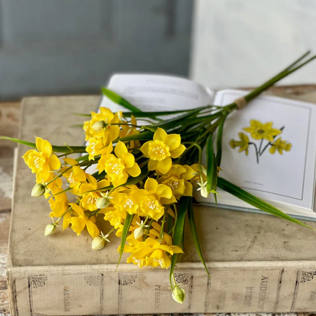 Yellow Daffodil Bundle - Marmalade Mercantile