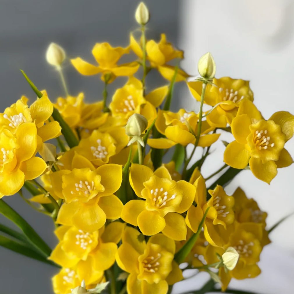 Yellow Daffodil Bundle - Marmalade Mercantile