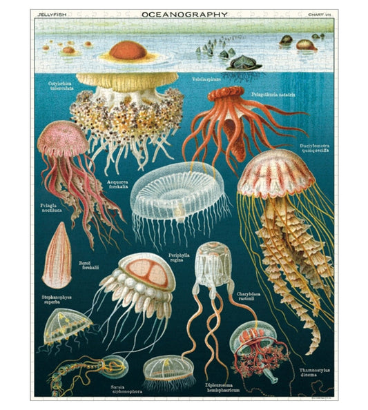 1000-Piece Jigsaw Puzzle Jellyfish & Oceanography Puzzle - Marmalade Mercantile