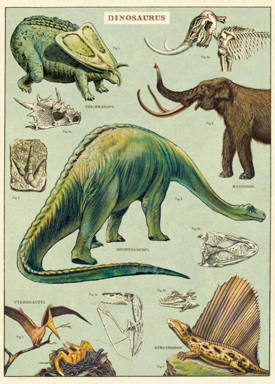 Dinosaurs Art Poster + Hanging Kit - B