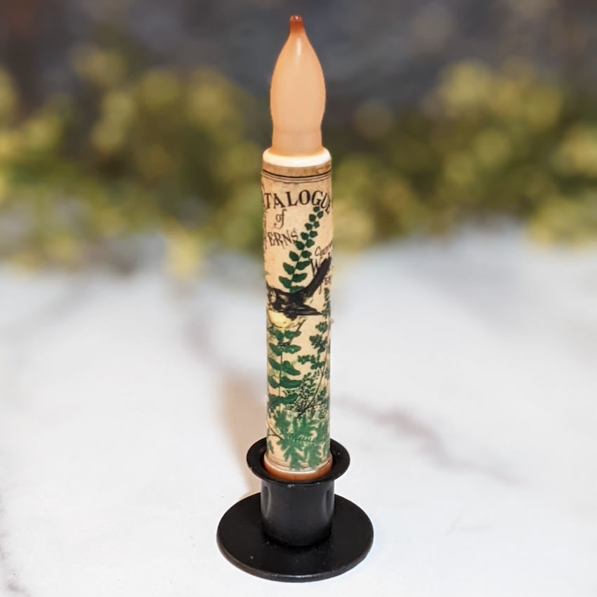 LED Battery Operated Taper Candle w Ferns & Springtime Robin - A