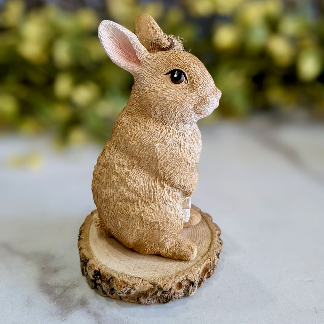 Winter Bunny Christmas Ornament with Star - B