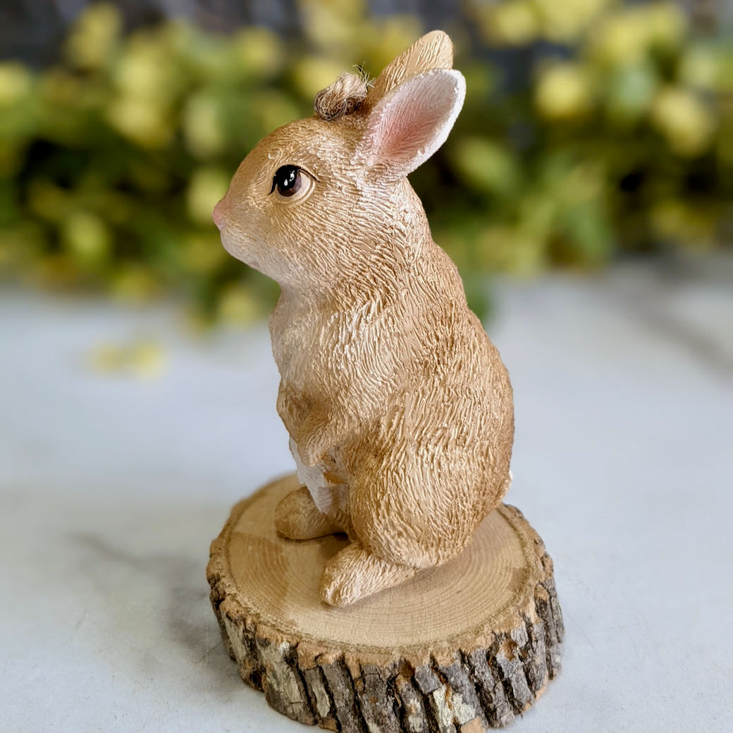 Winter Bunny Christmas Ornament with Star - D