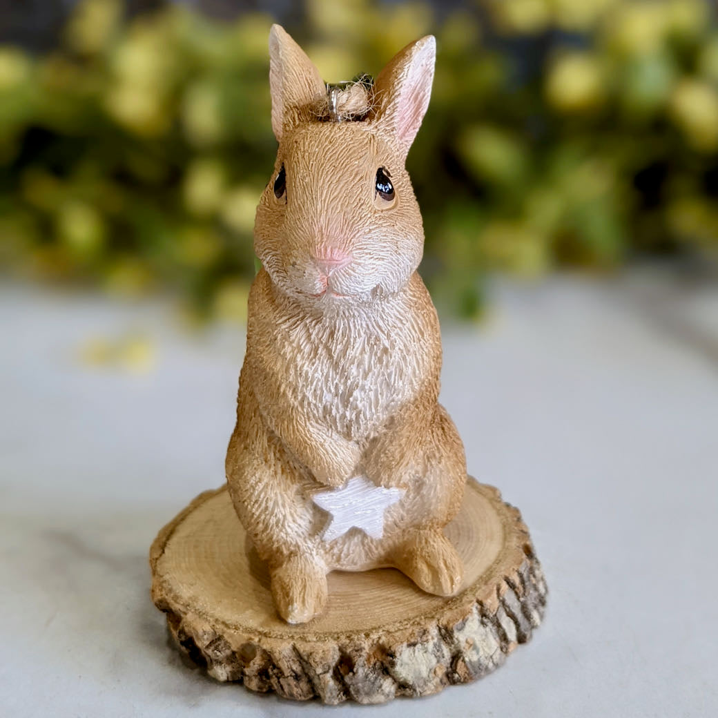 Winter Bunny Christmas Ornament with Star - E