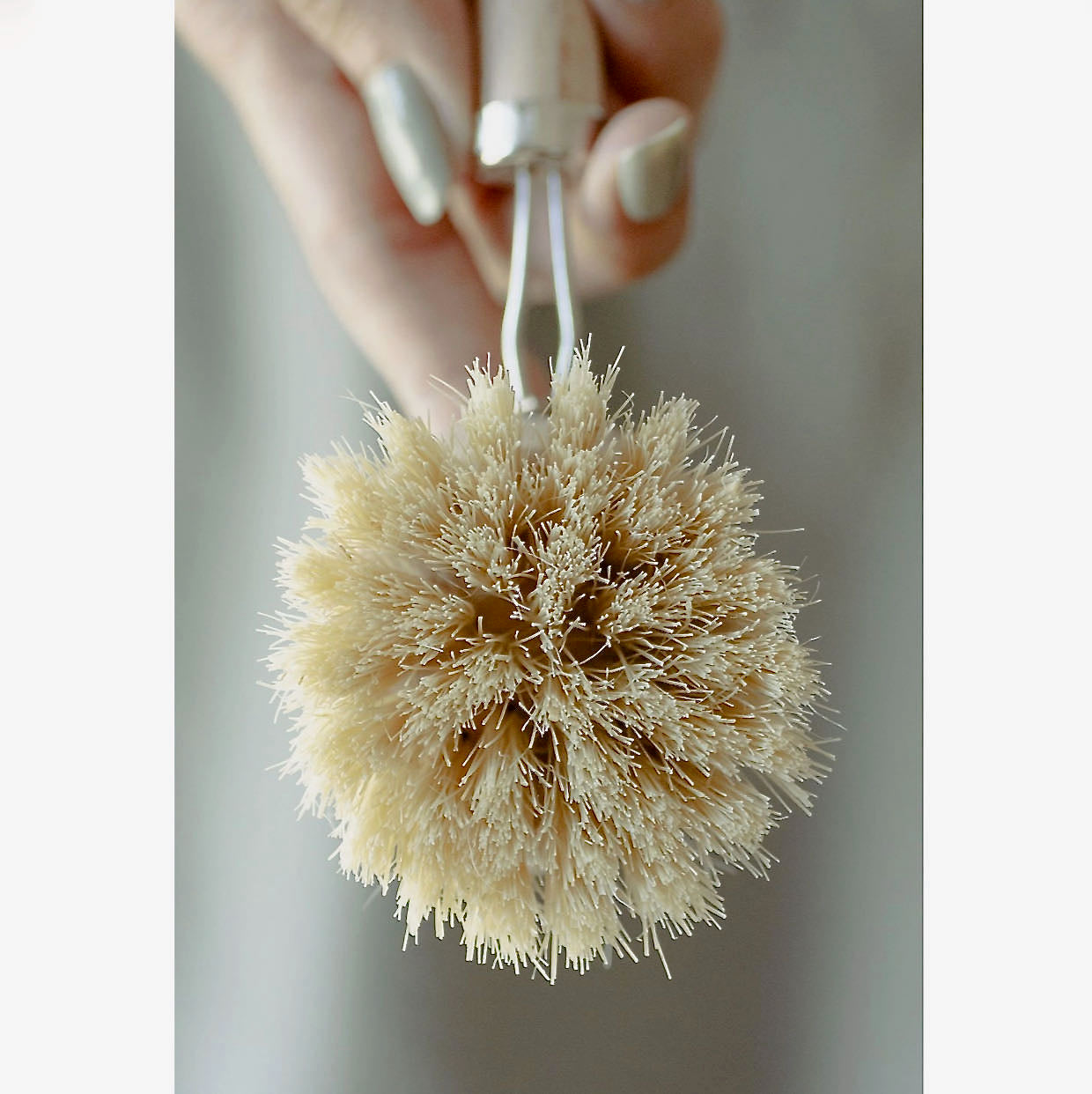 Long Handled Dish Scrubbing Brush PLUS Extra Replaceable Head Sustainable Farmhouse Kitchen - F