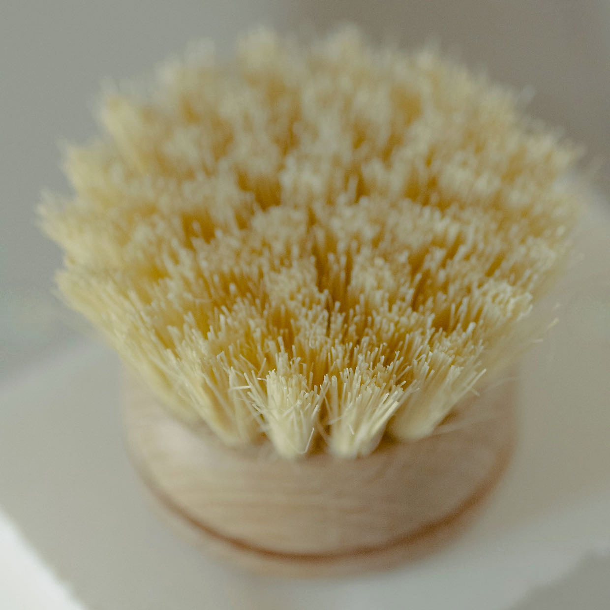Two Replacement Heads for Long-Handled Dish Brush - A
