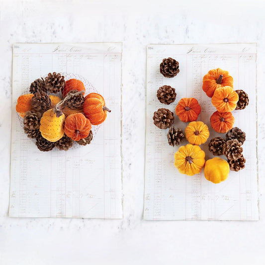 Bagged Set of Mini Velvet Pumpkins & Natural Pine Cones - A