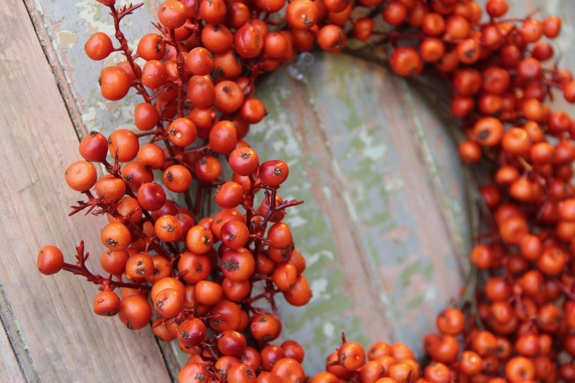 Autumn Harvest Orange Cranberries Candle Ring or Wreath - Marmalade Mercantile