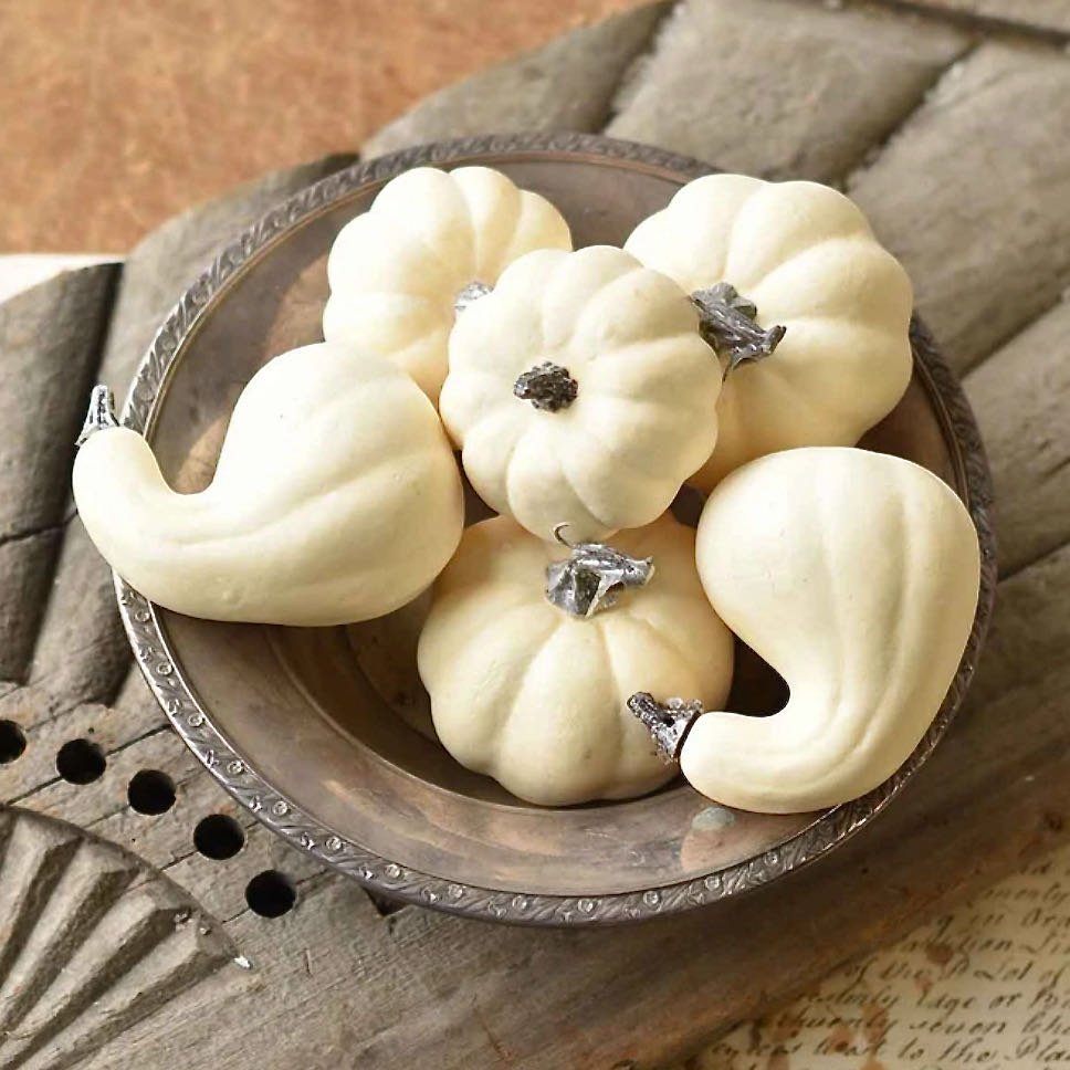 Bagged Set of Six "Forever" Mini Pumpkins & Gourds - Marmalade Mercantile