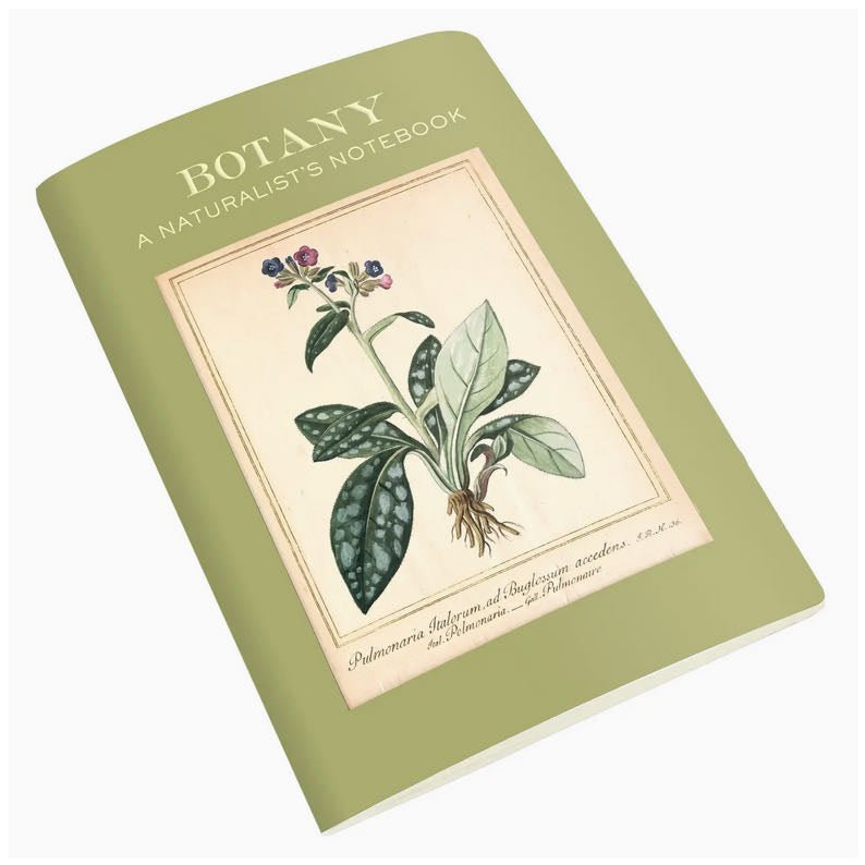 Botany A Naturalist's Mini Pocket Sized Notebook - Marmalade Mercantile