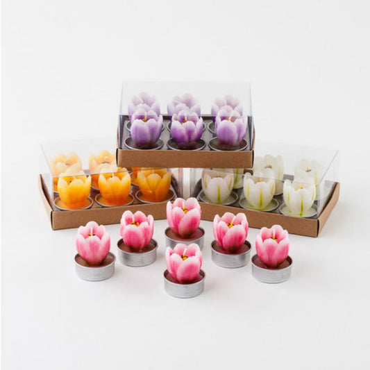 Boxed Set of Six Crocus Tea Lights CHOICE of Four Colors - Marmalade Mercantile