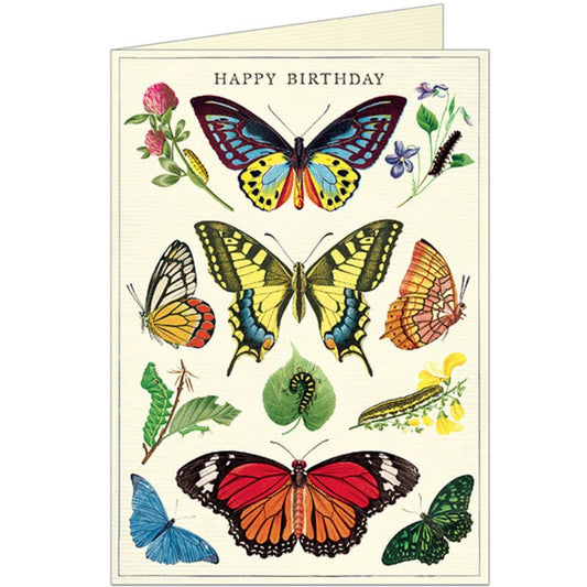 Butterflies Birthday Greeting Card - Marmalade Mercantile