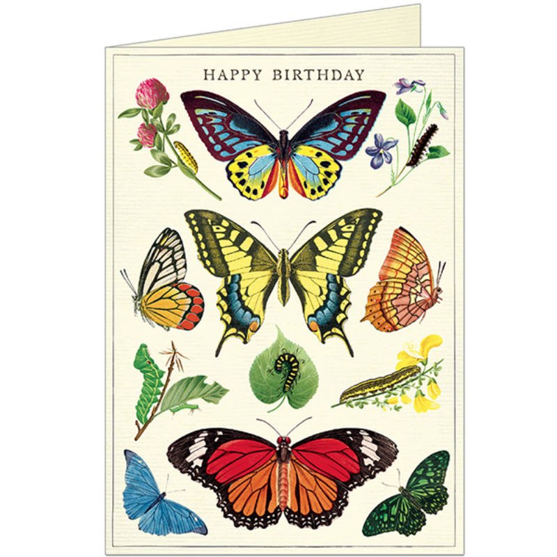 Butterflies Birthday Greeting Card - Marmalade Mercantile