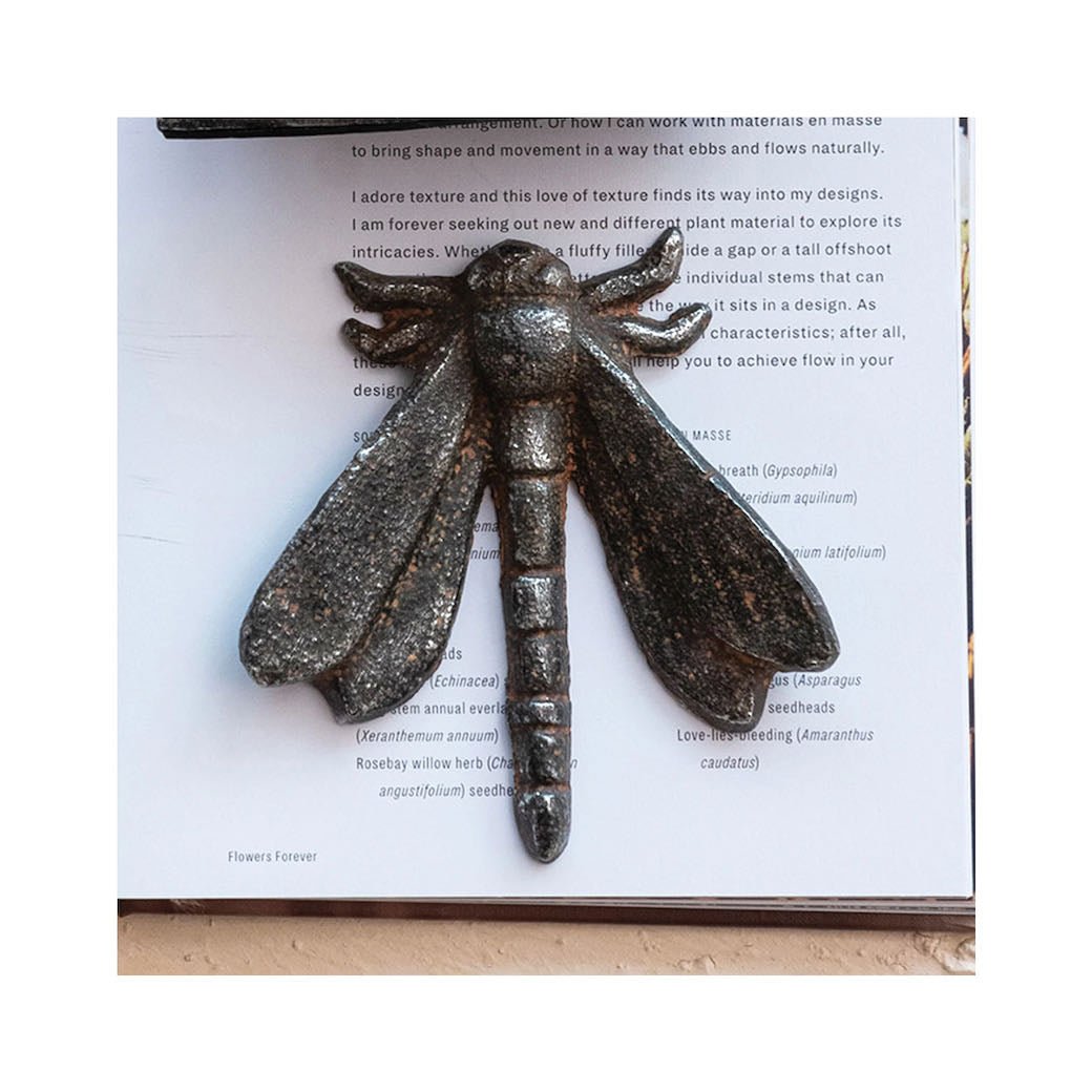 Cast Iron Dragonfly,Figure with Rustic Finish - Marmalade Mercantile