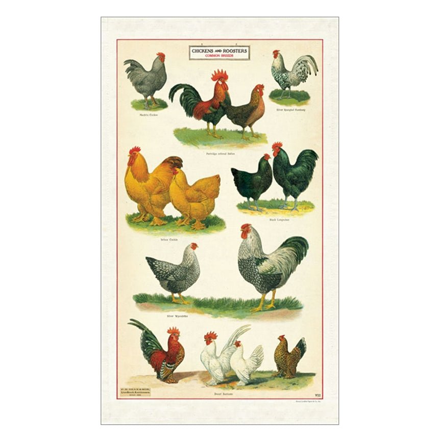 Colorful Chickens & Roosters Cotton Farmhouse Kitchen Towel - Marmalade Mercantile