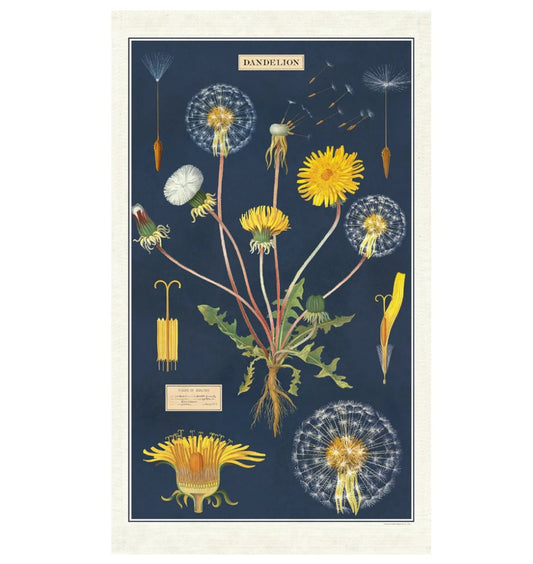 Dandelion Kitchen Towel Vintage Botanical Illustration - Marmalade Mercantile