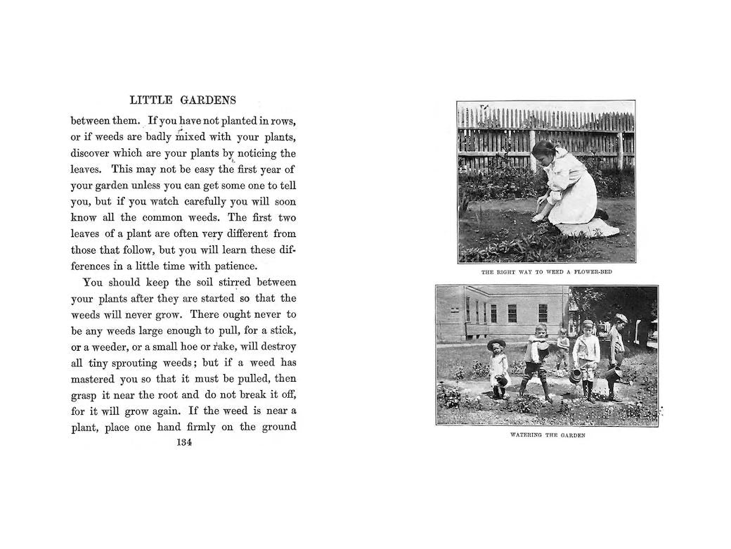 Little Gardens for Boys and Girls by Myrta Margaret Higgins - D