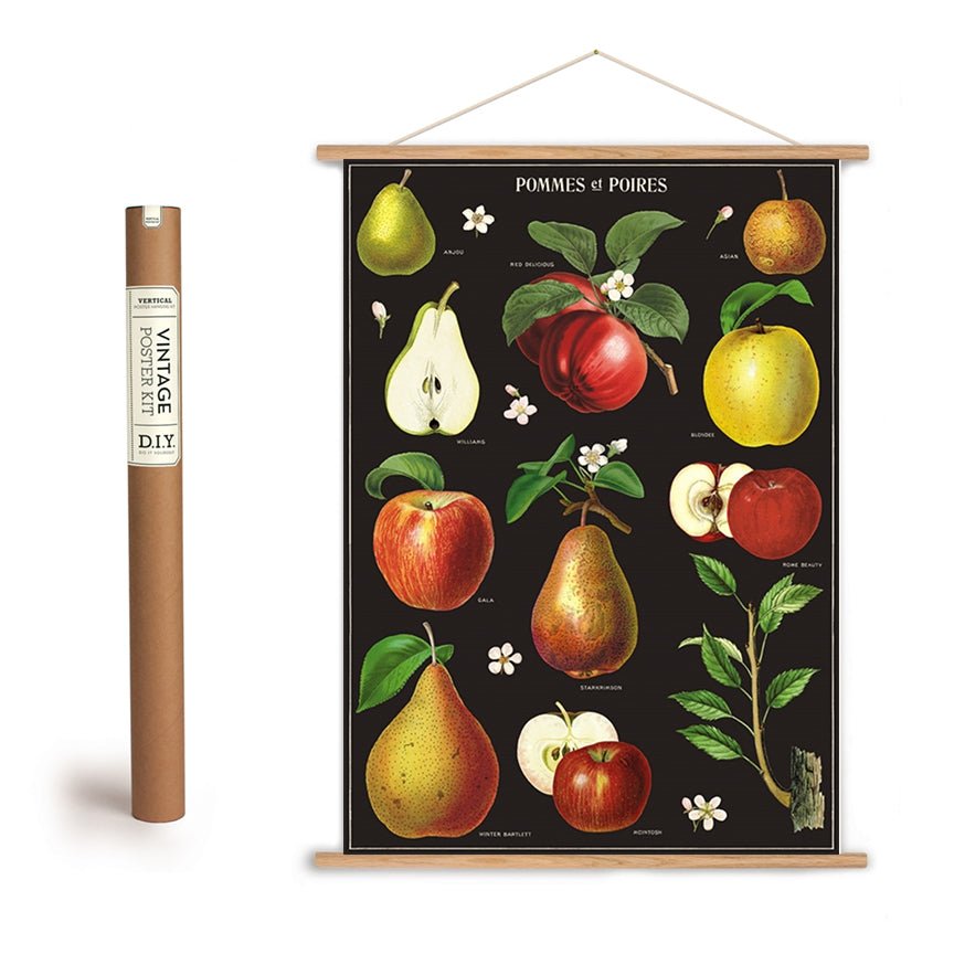 Dramatic Apples & Pears Art Poster + Hanging Kit - Marmalade Mercantile