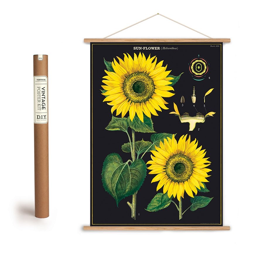 Dramatic Sunflower Illustration Art Poster + Hanging Kit - Marmalade Mercantile