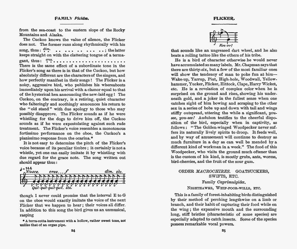Field Book of Wild Birds and their Music - Marmalade Mercantile