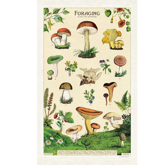 Foraging Plants & Mushrooms Tea Towel - Marmalade Mercantile
