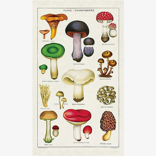 French Fungi Mushroom Champignons Kitchen Towel - Marmalade Mercantile